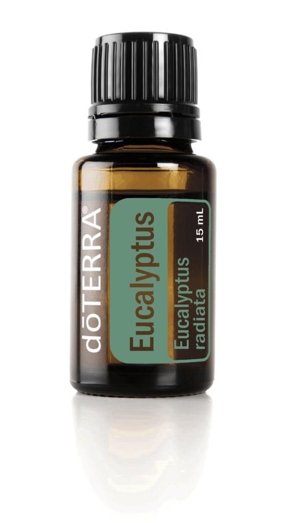 eucalyptus-15ml